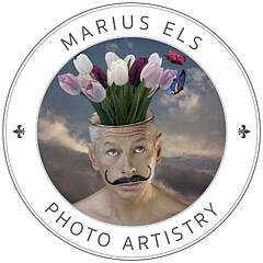 Marius Els